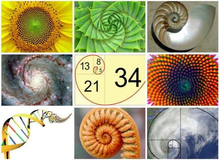 Truthmafia-Gods Fingerprint The Fibonacci Sequence