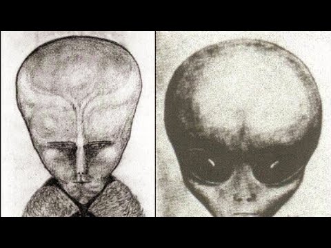 Most Aliens Arent From Outer Space You Need To Watch This -