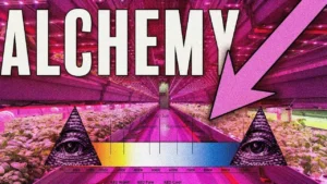 Purple Lights Music Alchemy W Doenutfactory -