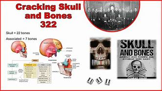 Genesis 322 Skull And Bones Connection