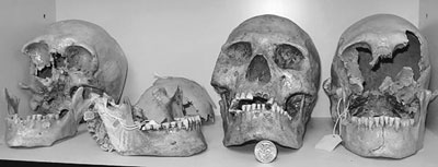 Dewhurstr1 Spirit Cave Skulls -