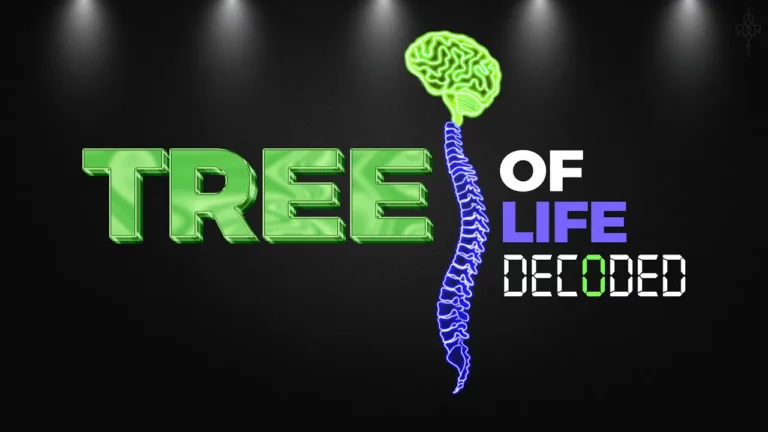 Tree Of Life Decoded New -