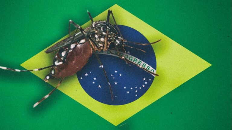 Bill Gates Gmo Mosquitos Wreak Havoc In Brazil -