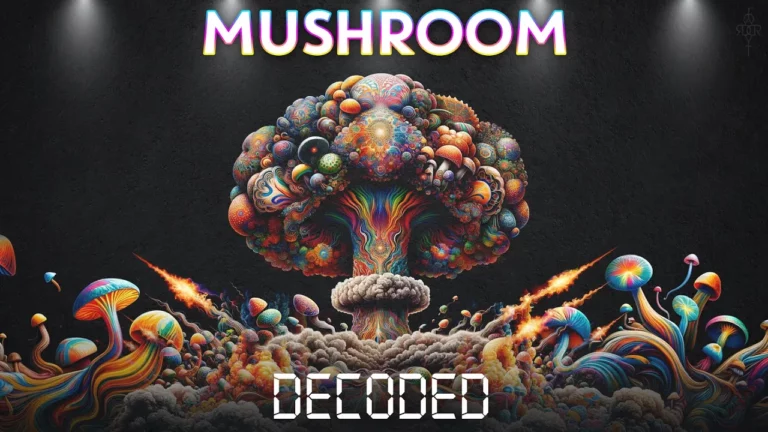 Mushroom Decoded -