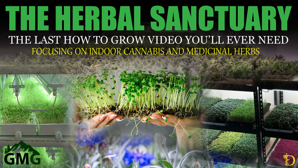 Create A Herbal Sanctuary The Last Guide You Need For Growing Herbs Cannabis Microgreens -