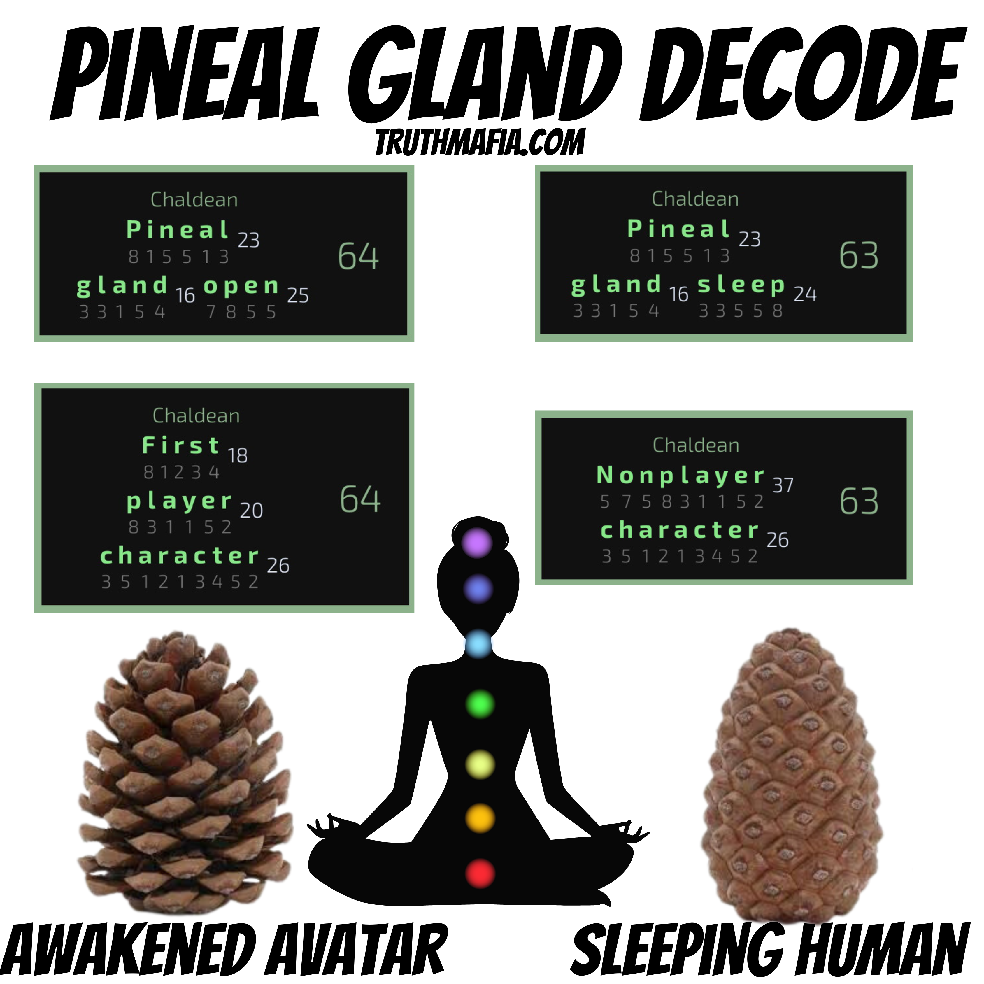 Pineal Gland Decode