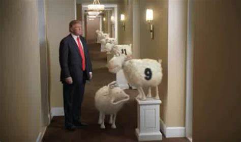 Donald Trump 9/11 Predictive Programming Sheep Commercial 