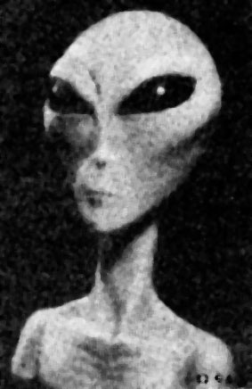 The Greys Alien Race