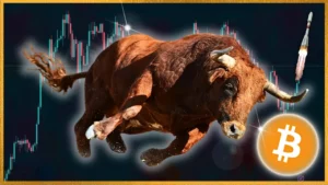 Crypto Bull Run Decoded 2024 -