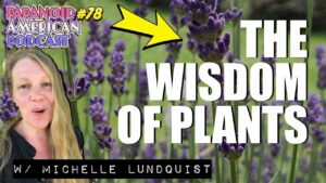 The Wisdom Of Plants W Michelle Lundquist Paranoid American Podcast 78 -