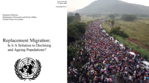 Disturbing Un Document On Replacement Migration Reveals Everything -