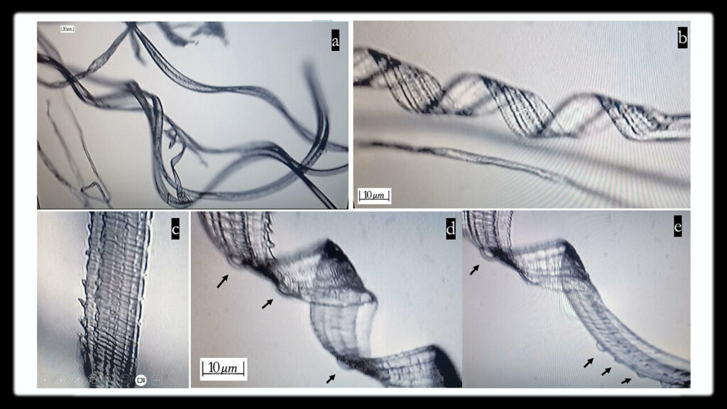 Recent Study Shows Self Assembly Nanobots In The Covid 19 Injectables -