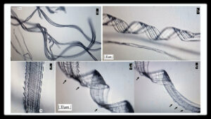 Recent Study Shows Self Assembly Nanobots In The Covid 19 Injectables -