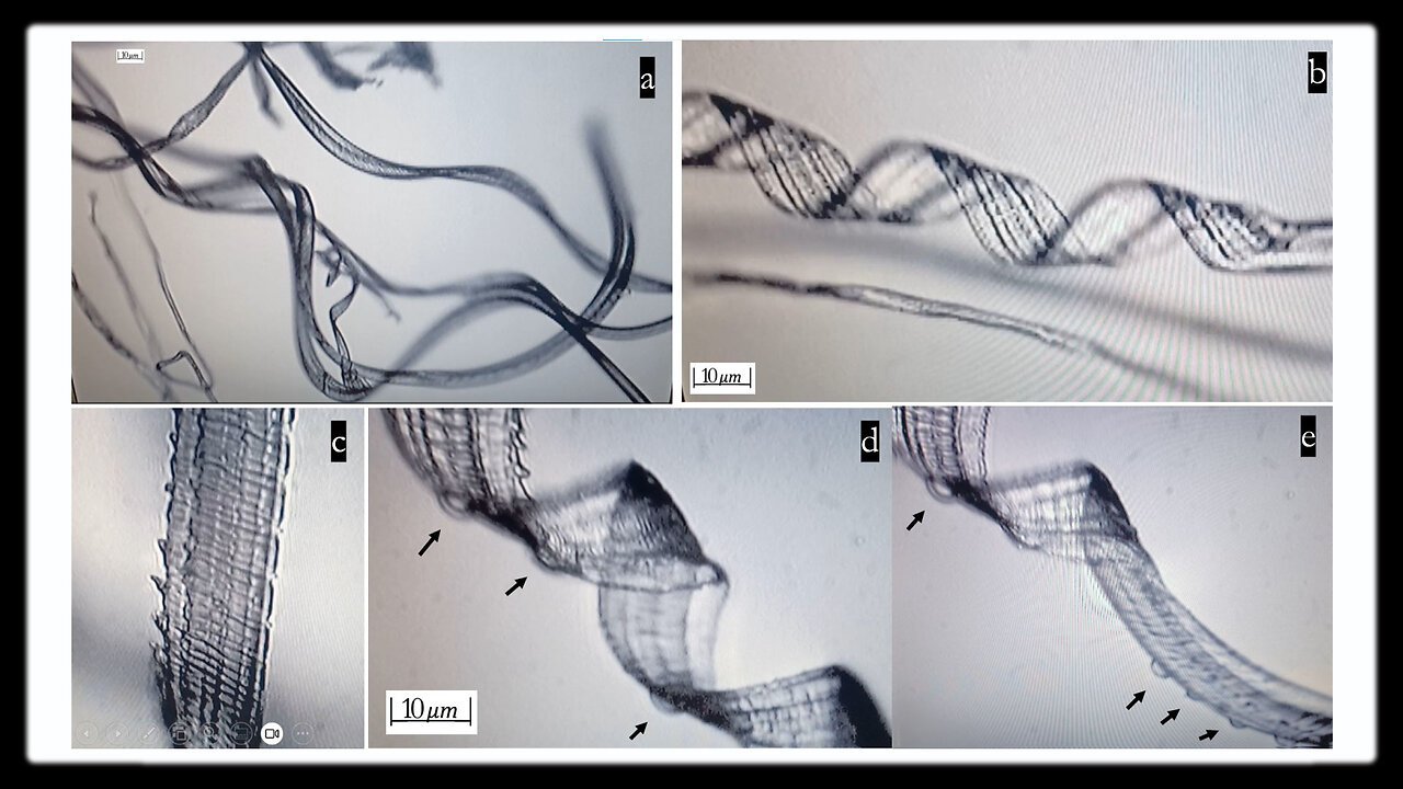 Recent Study Shows Self Assembly Nanobots In The Covid 19 Injectables -