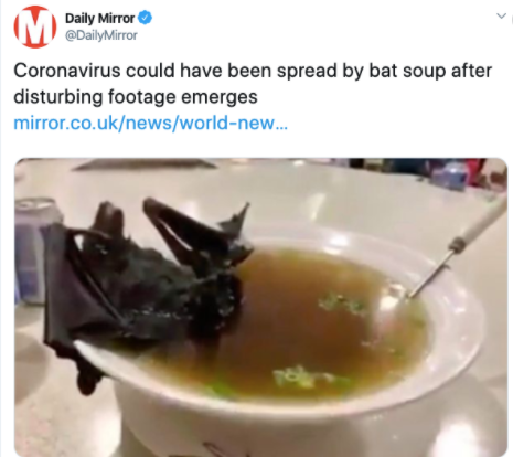 Wuhan Bat Soup 