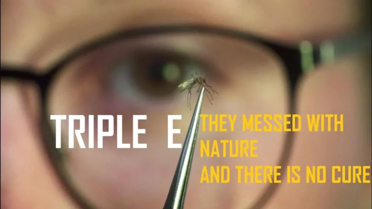 The Dreaded Outbreak Mosquito Triple E Is Here -