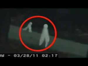 Fresno Nightcrawler The Meme Cryptid -