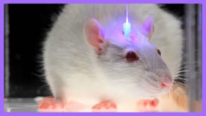 Optogenetics And The Secret Worldwide Nanotech Experiment -