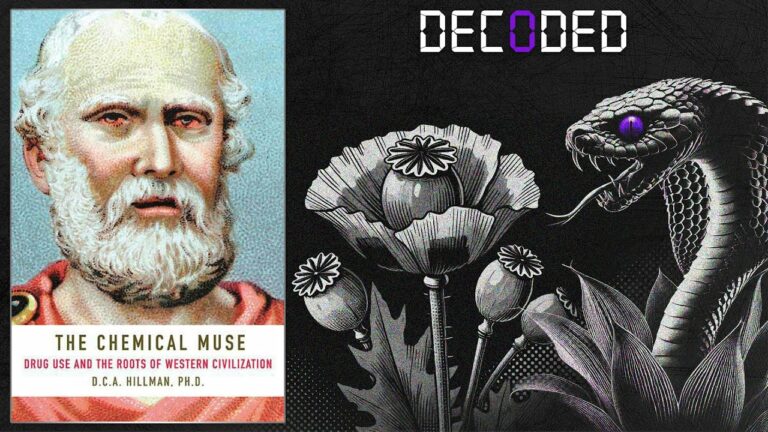 The Chemical Muse Decoded -