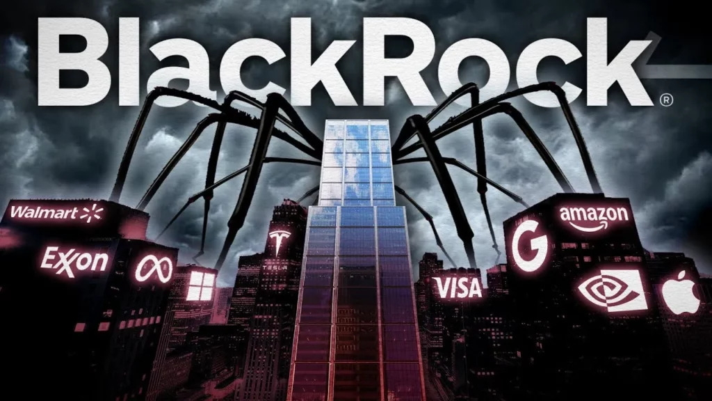 Blackrock The Conspiracies People Dont Know -