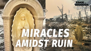 La Fire Updates Miracles Amidst The Devastation -