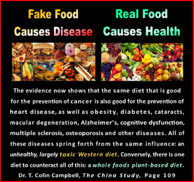 Fake Foods Versus Real Foods