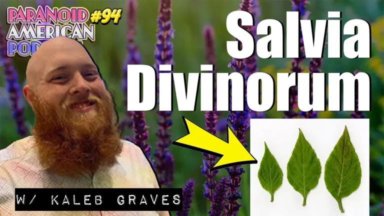 Salvia Divinorum And Psychedelic Theology W Kaleb Graves Paranoid American Podcast 94 -