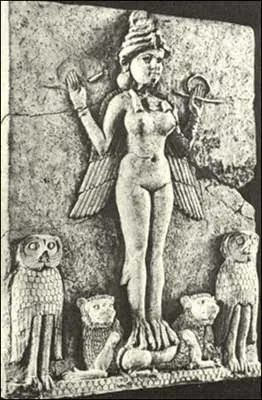 Lillith With The Owls…