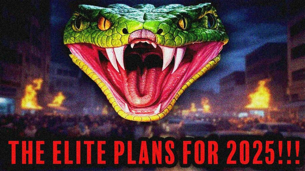 The Elite Plans For 2025 -