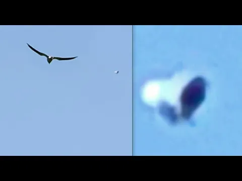 Crazy Looking Ufo Uap Caught Flying Across The Sky In Northern California -