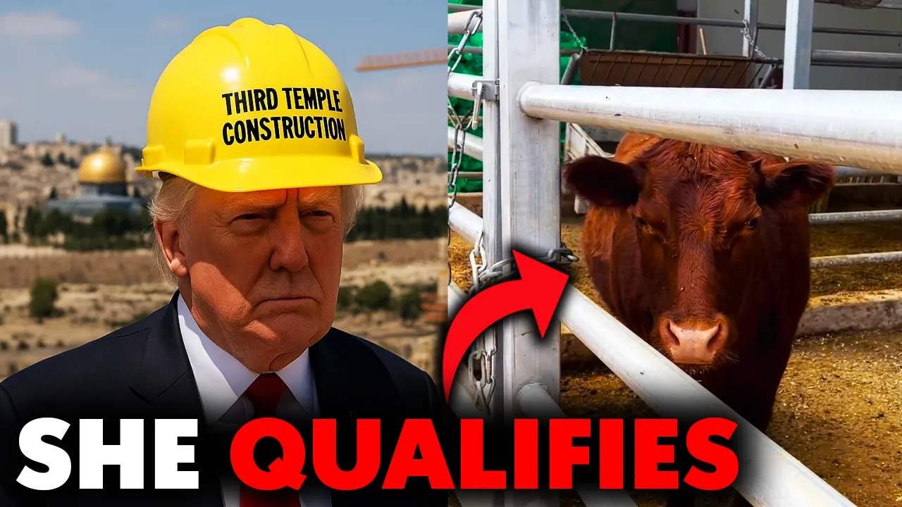 Donald Trump The Jewish Messiah To Build The Third Temple And Red Heifer Update 2025 -