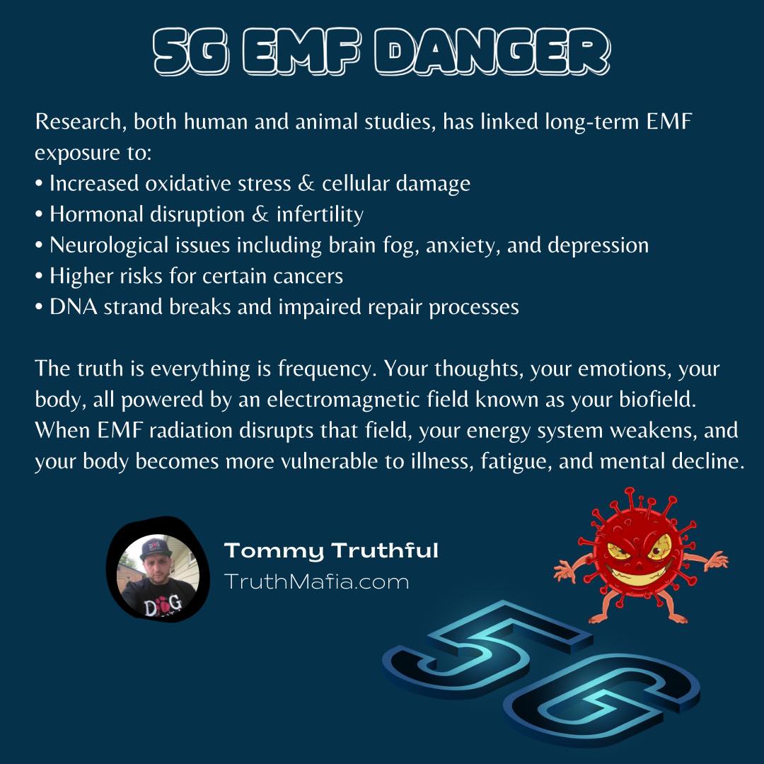 5G
