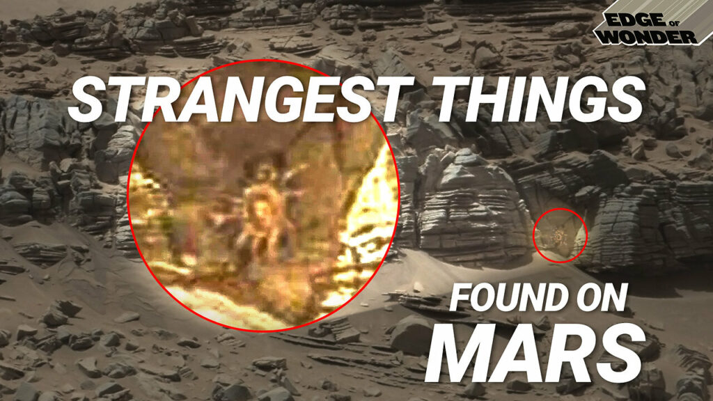 Strangest Things Found On Mars As Nasa Confirms Life On Red Planet -