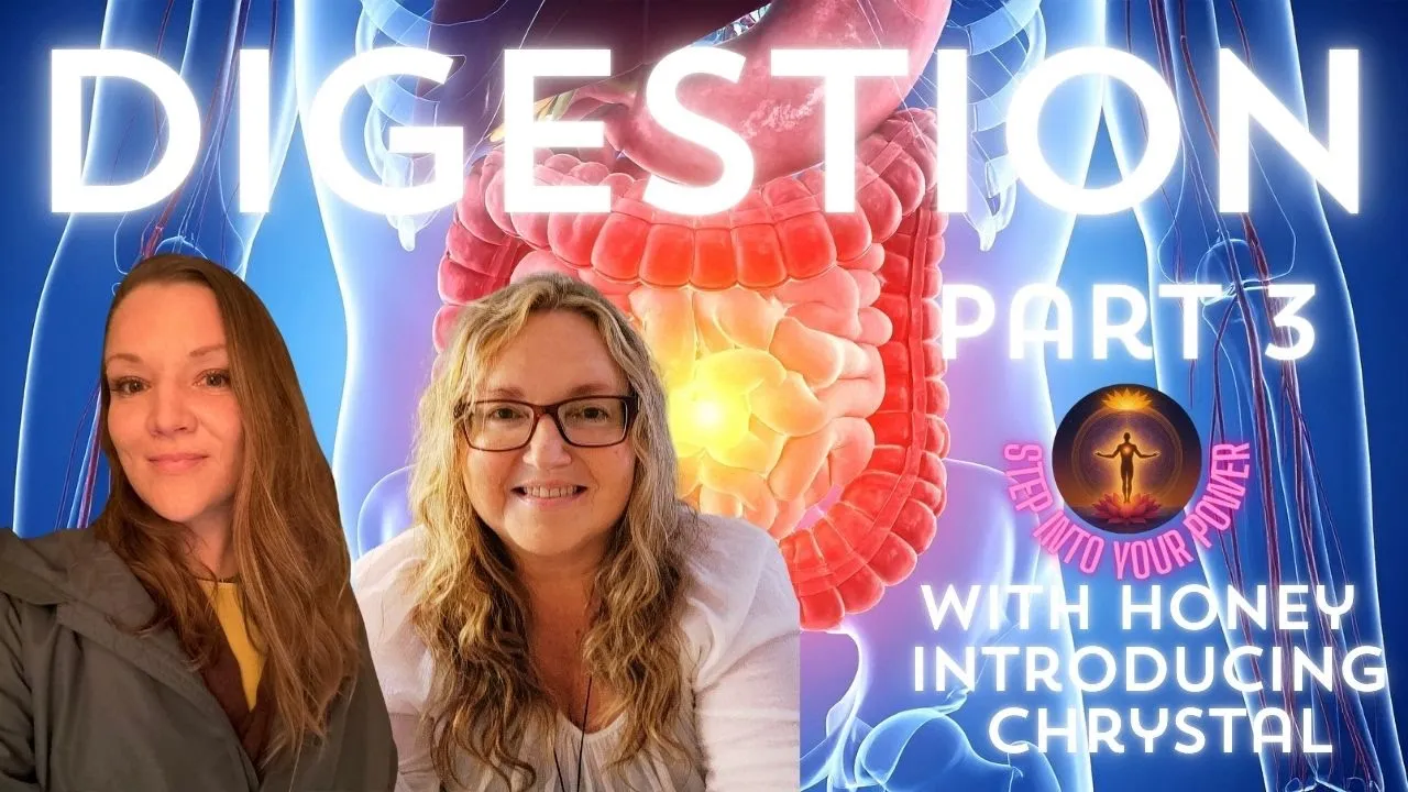 Your Gut Holds The Key Nervous System Healing Gut Health For The New Earth Body -