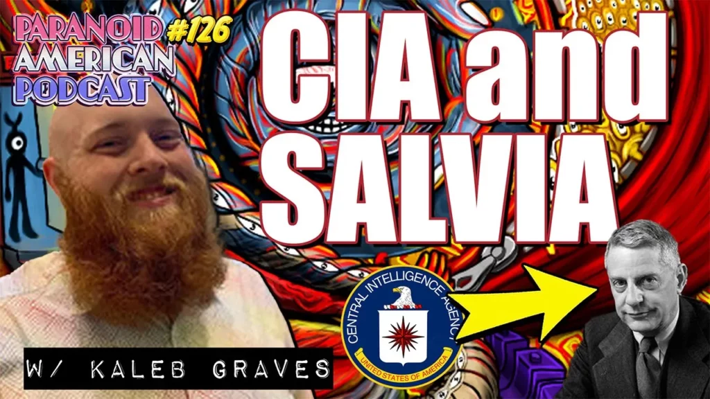 Cia And Salvia Divinorum W Kaleb Graves Paranoid American Podcast 126 -