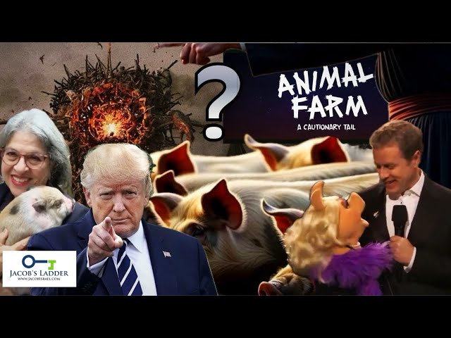 Seeing Pigs Lately When Pigs Appear The Reckoning Is Here Dont Cast Pearls Before Swine -