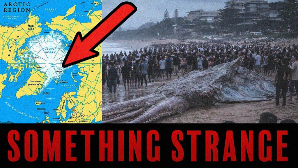 Watch Before The End Of January Something Strange Is Coming -