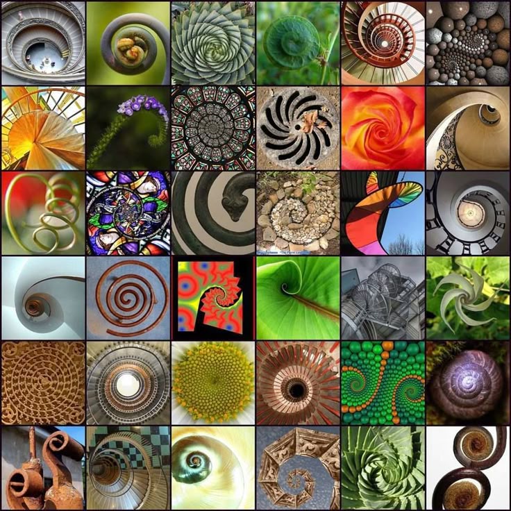 A50757285570837290Db6686388D87Cb Patterns In Nature Collage Ideas -