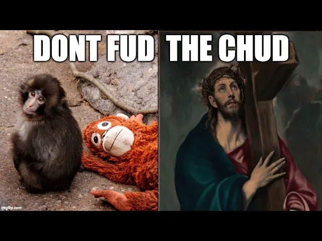 The Religious Suffering Of Punch The Monkey And His Stuffed Animal -