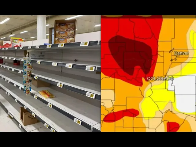 Food Supply Chain Is Breaking Panic Buying Begins Fuel Rationing And Water Restrictions Imposed -