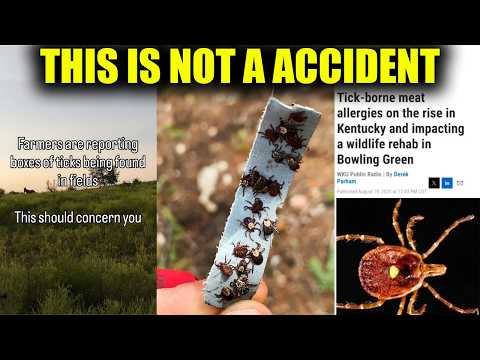 Something Scary Just Happened With Ticks Creepy -