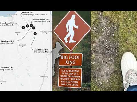 Bigfoot Sightings On The Rise In Ohio As Strange Noises And Huge Tracks Discovered In Wilderness -
