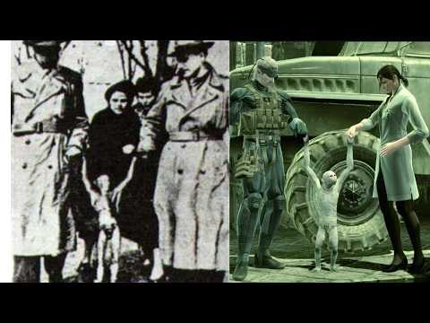 The Ufo Files Change Everything -