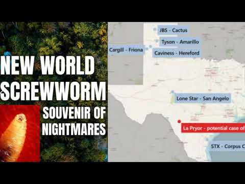Could Be Disruptive Second Flesh Eating Screwworm Case Raises Fears Canada Restricts Imports -